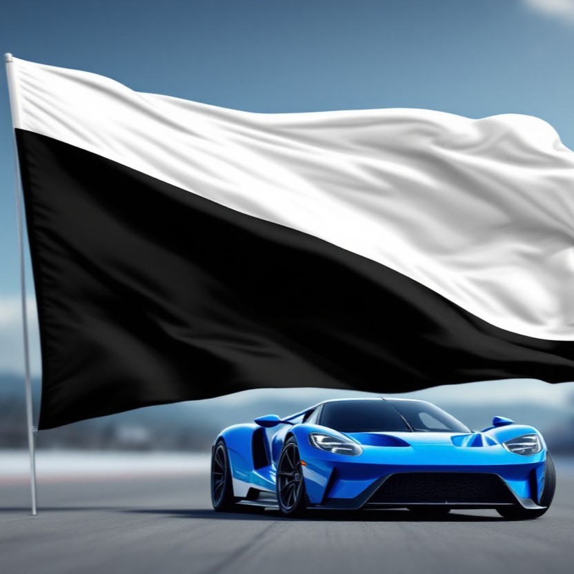 black and white diagonal flag